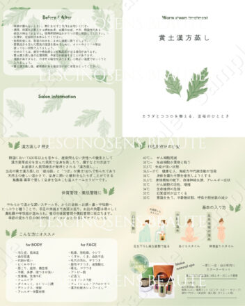 新・黄土漢方蒸し パンフレット100部(名入れ無ハーバルグリーンタイプ)